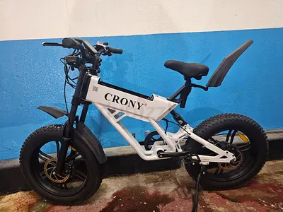 Crony Electric Fat Tire Bike - never used
