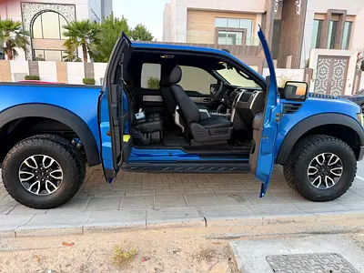2010 FORD F-150 照片 9
