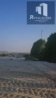 Zayed City MZ16 Land | DCR Ready