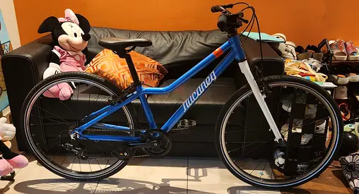 Bicycle Lisaped 24