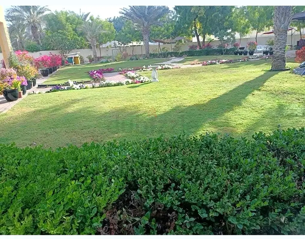 DPV_View_Image_1