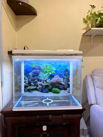 Aquarium Tank with Lighting and Heater 60×30×45