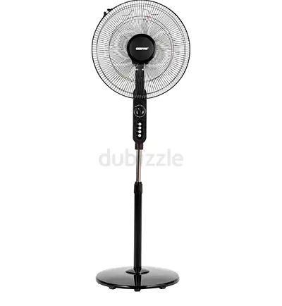 Fan