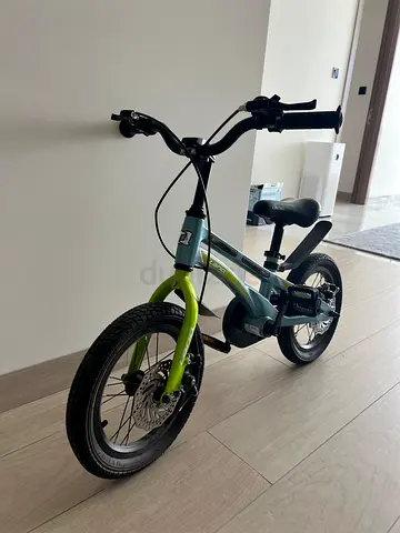 Children's 14-inch Balance/Training Bike - Light Green/Gray
