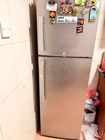 Double-Door Refrigerator - Excellent Working Condition
