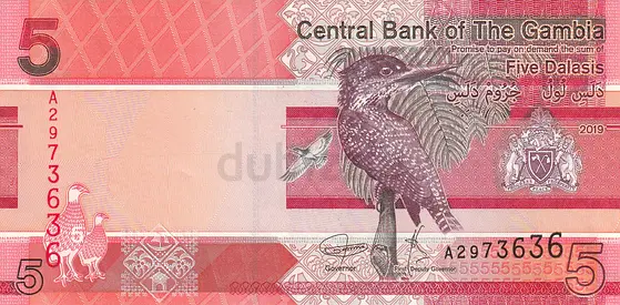 GAMBIA 5 DALASIS BANKNOTE 2019