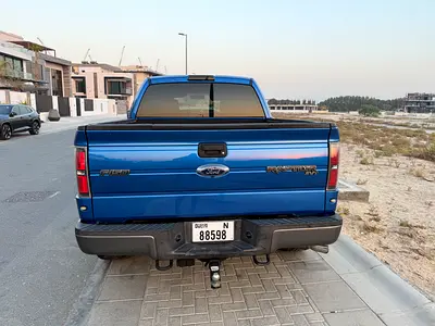 2010 FORD F-150 照片 8