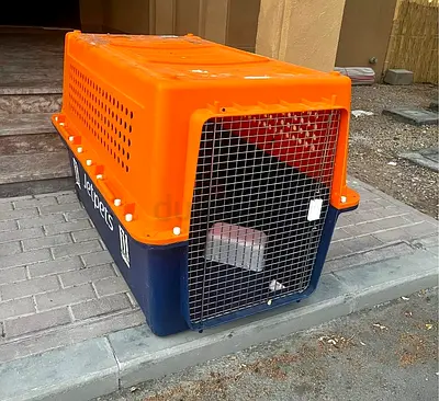 Dogs carriers for air travel