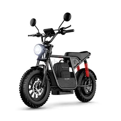 Wind Horse D1 Electric Bike 750W 50KM Range 32KM Speed,