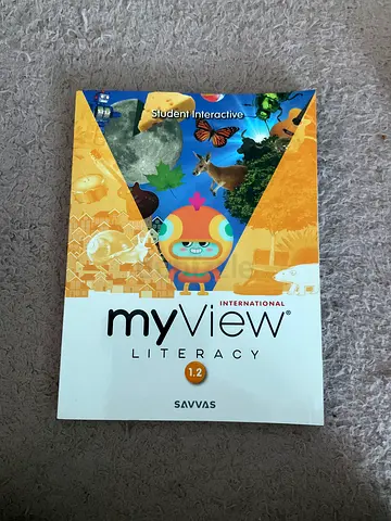 My view international (1.2)