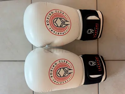 Boxing gloves | white | almost new
