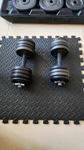 20kg dumbbells