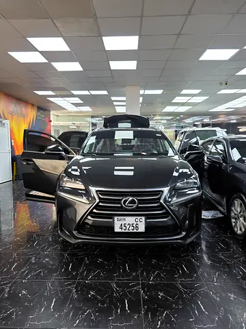 2017 Lexus NX-SERIES — фото 4