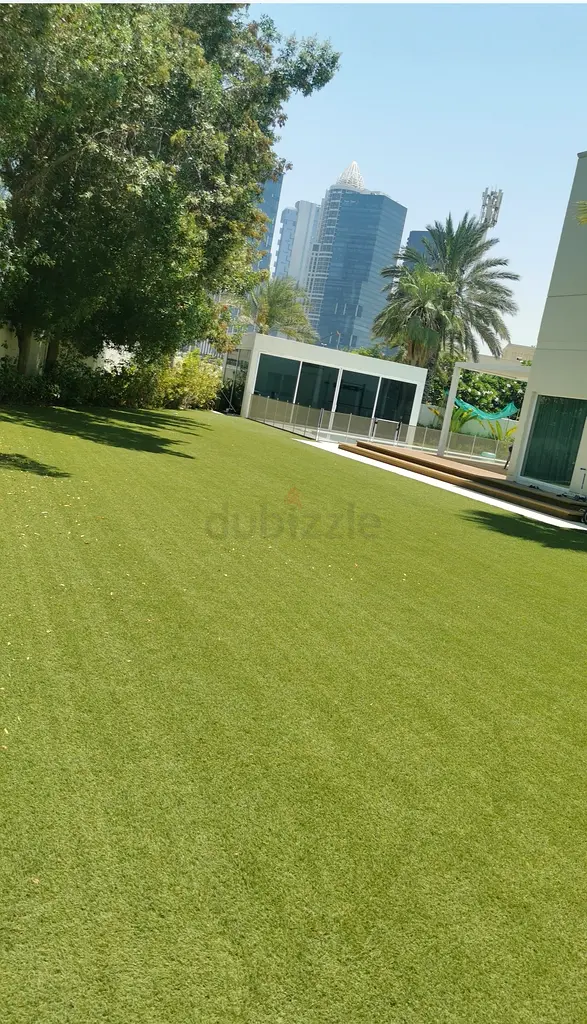 DPV_View_Image_0