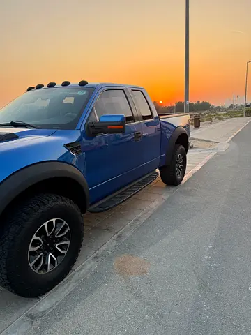 2010 FORD F-150 照片 3
