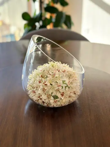 Clear Tilted Glass Flower Vase / Decorative Bowl — Excellent Condition