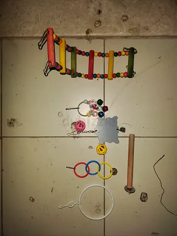 Used bird toys bundle — wooden ladder, rings, bells, chew toys