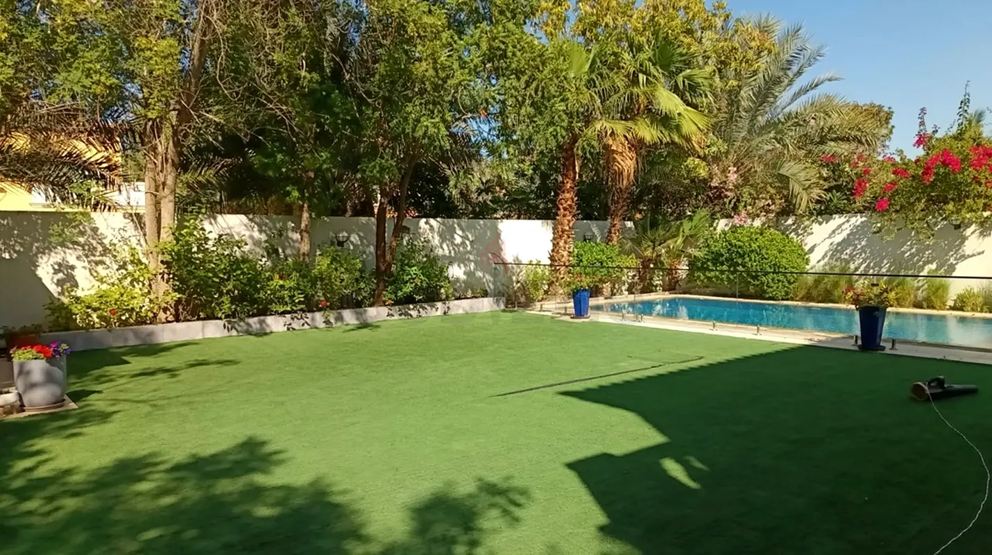 DPV_View_Image_0