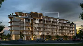 Investor Deal / 0.5% Monthly 2500 / DLD Waiver – Post handover payment plan