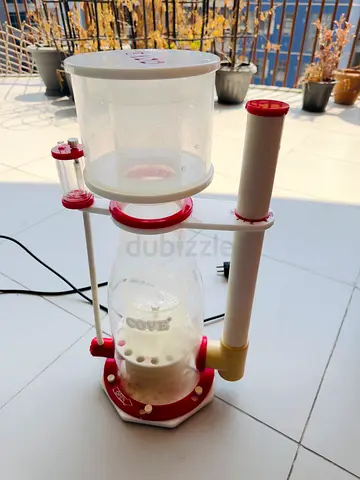 Cove 250 protien skimmer