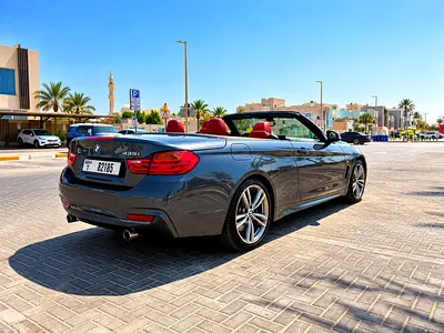 2014 BMW 4-SERIES — миниатюра 14