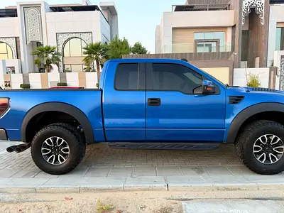 2010 FORD F-150 照片 4