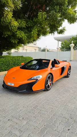2015 Mclaren 650S 照片 5