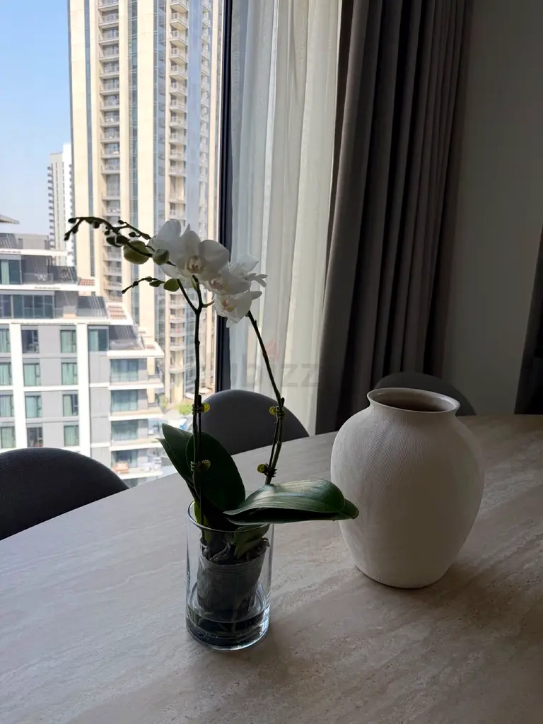 DPV_View_Image_6