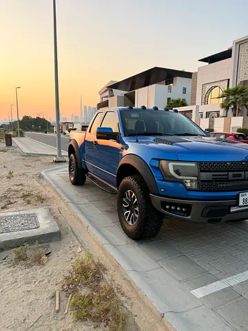 2010 FORD F-150 照片 2