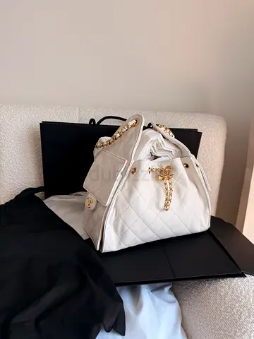 New Chanel 25 Small Bag