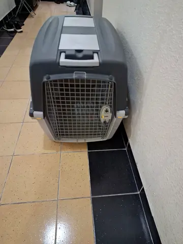 Sturdy Plastic Pet Carrier / Travel Crate - Medium Size