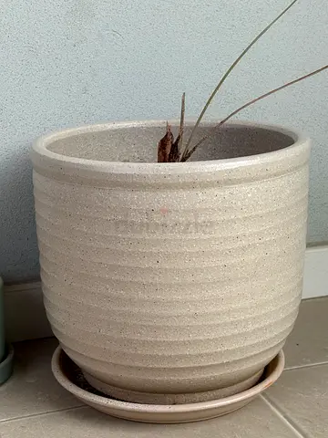 Ceramic Plant Pot with Saucer – Excellent Condition (Large light beige)