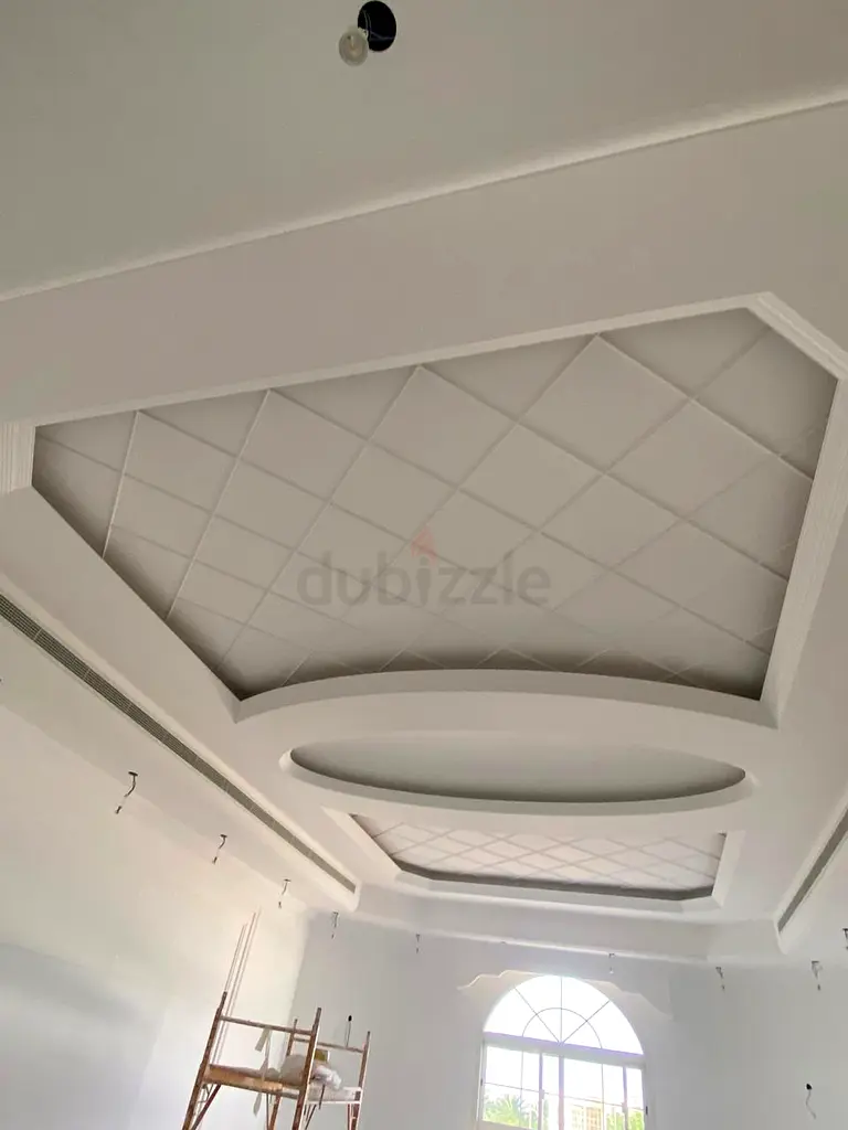 DPV_View_Image_1