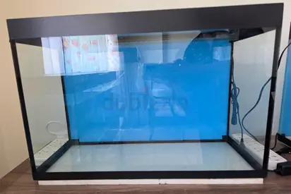 Fish Tank