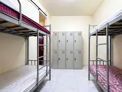 BED SPACE AVAILABLE NEAR SHARAF DG METRO