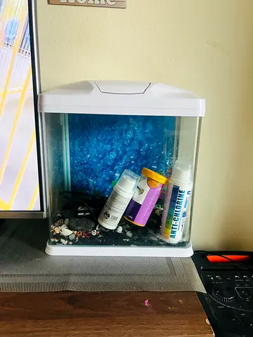 Small aquarium 5 month old with water treatment supplies, fish net, water cleaning vaccum, sand all