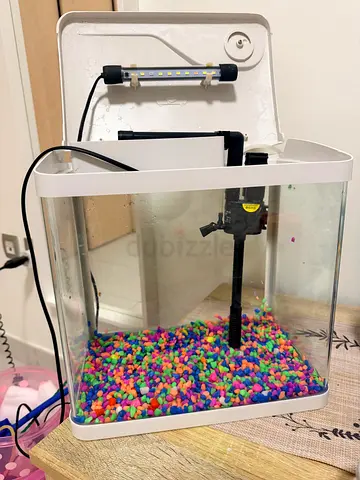 Small Aquarium Fish Tank with Filter and Accessories