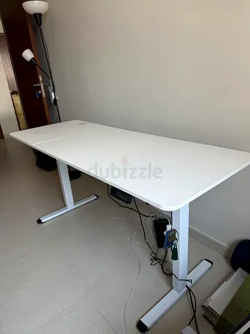 Modern White Electric Standing Desk