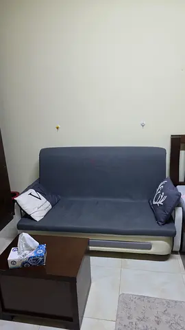 Compact 3-seater Sofa cum bed in Dark Grey