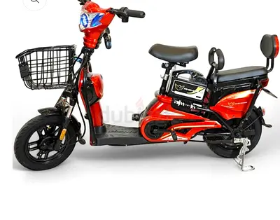 Wind Horse/ Electric Bike/ M1