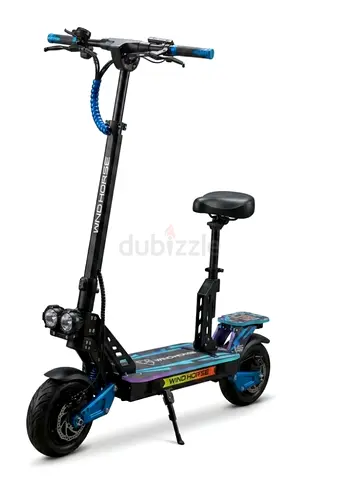 Wind Horse /Electric Scooter with Seat/ H8