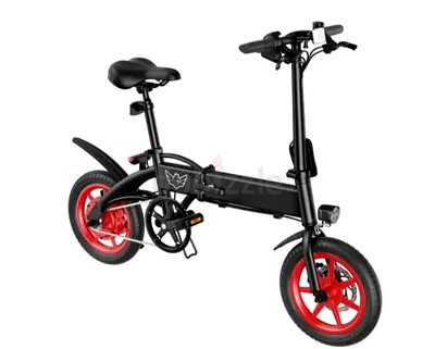 Wind Horse Folding Electric Bike/ C19 / 1 Year Warranty