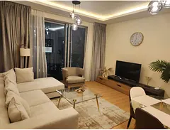 Fully furnished one bedroom with 2 bathroom for sale in downtown