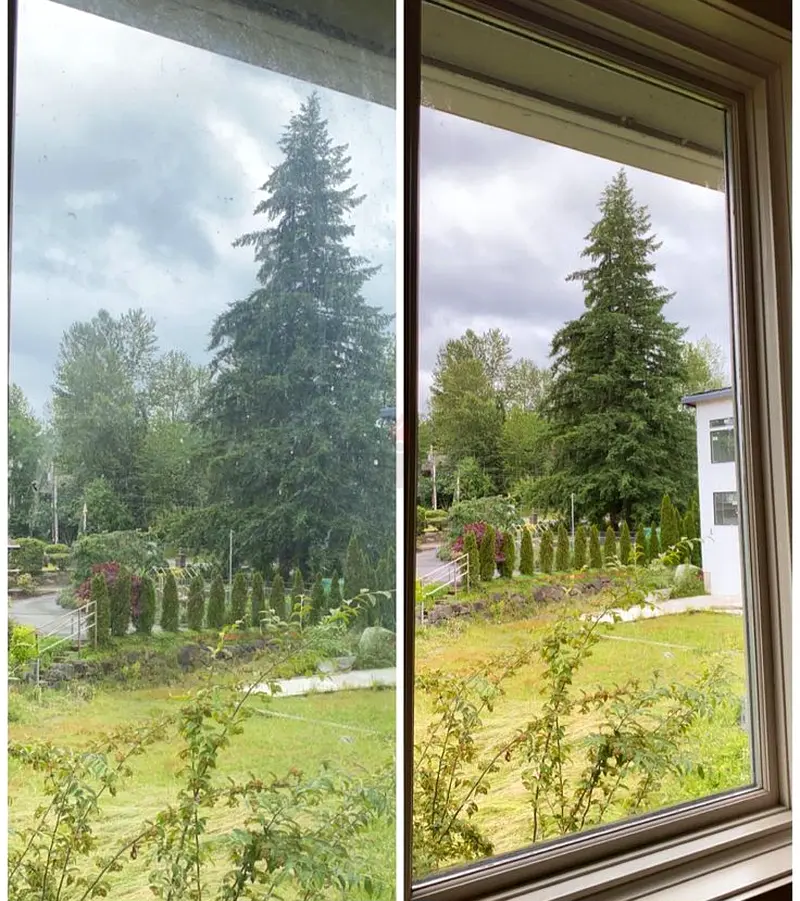 DPV_View_Image_4