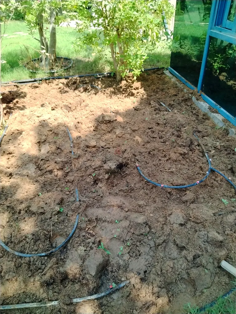 DPV_View_Image_2
