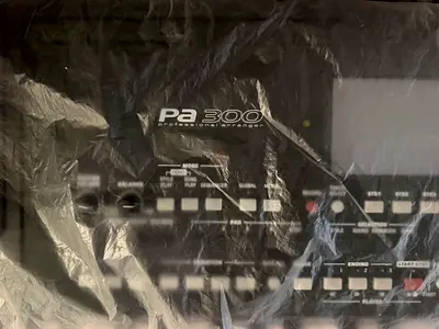 KORG PA 300 NEW