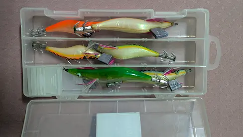 Fishing squid jigs