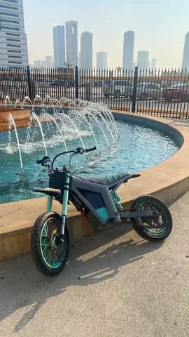 Kugoo wish 01 Liwa customized Negotiable