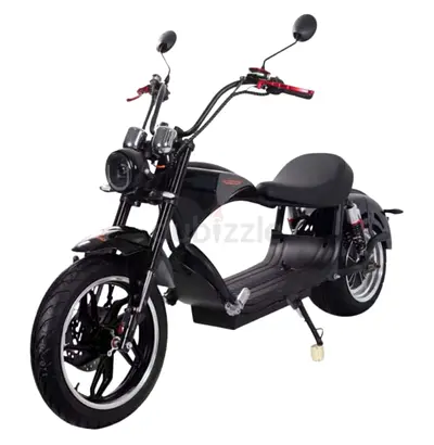 Kugoo/ Electric Scooter/ M1