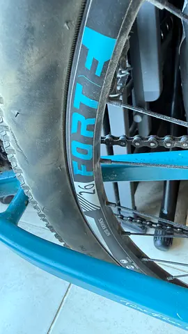 Used adult mountain bike wheel with Forté rim and tire